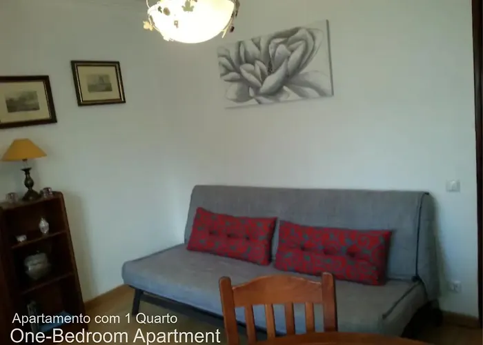 Akicity Moss * Σίντρα